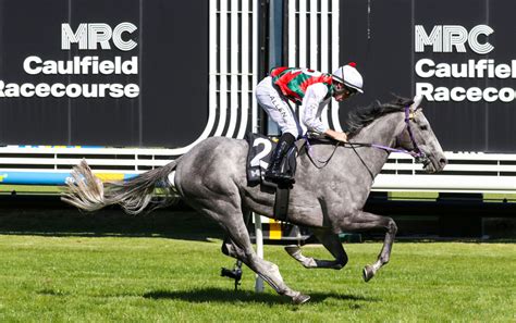 queensland derby odds|Queensland Derby 2025 Field, Tips, Odds, Betting, .